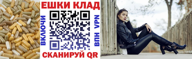 где купить   Светлый  ЭКСТАЗИ Punisher 