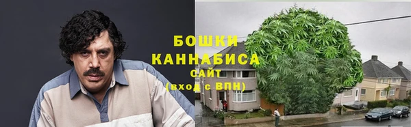 гашик Новодвинск