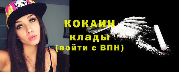 прущие грибы Аркадак