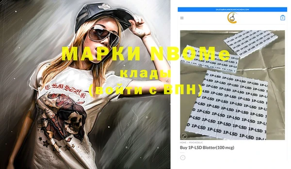 прущие грибы Аркадак