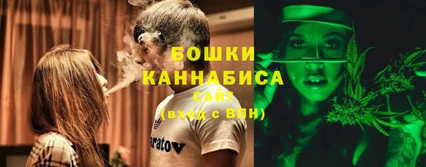 прущие грибы Аркадак