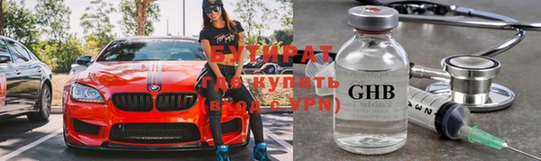 прущие грибы Аркадак