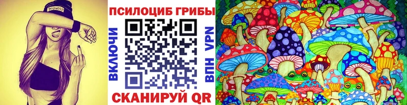 Псилоцибиновые грибы GOLDEN TEACHER OMG вход Светлый